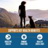 imageORIJEN Amazing Grains High Protein Dry Dog Food Original Recipe 225lb Bag