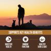 imageORIJEN Amazing Grains High Protein Dry Dog Food Puppy Recipe 4lb Bag