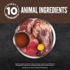 imageORIJEN Chunks ampamp Shreds Wet Cat Food Variety Pack Original  Salmon ampamp Chicken Entres 3oz Cans 12 Count 6 of EachRegional Red Entre Chunks  Shreds