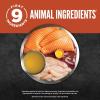 imageORIJEN Chunks ampamp Shreds Wet Cat Food Variety Pack Original  Salmon ampamp Chicken Entres 3oz Cans 12 Count 6 of EachSalmon  Chicken Entre Chunks  Shreds