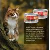 imageORIJEN Chunks ampamp Shreds Wet Cat Food Variety Pack Original  Salmon ampamp Chicken Entres 3oz Cans 12 Count 6 of EachVariety Pack Original Entre  Salmon  Chicken Entre Chunks  Shreds