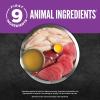 imageORIJEN Chunks ampamp Shreds Wet Cat FoodChicken and Tuna Kitten Entre 55oz Cans 6 Count
