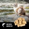 imageORIJEN Freeze Dried Cat Treats Grain Free High Protein Raw Animal Ingredients Original 125oz BagSix Fish Recipe