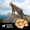 imageORIJEN Freeze Dried Cat Treats Grain Free High Protein Raw Animal Ingredients Original 125oz BagTundra Recipe