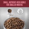 imageORIJEN Grain Free High Protein Dry Dog Food Small Breed Recipe 4lb Bag