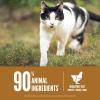 imageORIJEN Grain Free High Protein Premium Dry Cat Food Original Recipe 7lb BagOriginal Cat Recipe