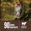 imageORIJEN Grain Free High Protein Premium Dry Cat Food Original Recipe 7lb BagRegional Red Recipe