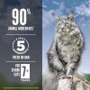 imageORIJEN Guardian 8 Grain Free High Protein Premium Dry Cat Food 10lb BagGuardian Senior Recipe