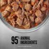 imageORIJEN Pate Wet Dog Food Chicken Recipe with Liver 128oz Cans 12 CountBeef