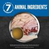 imageORIJEN Pate Wet Dog Food Chicken Recipe with Liver 128oz Cans 12 CountOriginal with Liver Pt