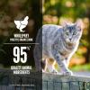 imageORIJEN Premium Pate Wet Cat Food Variety Pack Original  Duck ampamp Chicken Recipes 3oz Cans 12 Count 6 of EachChicken