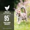 imageORIJEN Premium Pate Wet Kitten Cat Food in Bone Broth Chicken ampamp Salmon Entre 55oz Cans 6 Count