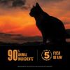 imageORIJEN Wild Reserve Dry Cat Food FreeRun Chicken ampamp WildCaught Fish Recipe 35lb BagFreeRun Chicken  WildCaught Fish Recipe