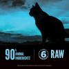 imageORIJEN Wild Reserve Dry Cat Food FreeRun Chicken ampamp WildCaught Fish Recipe 35lb BagWildCaught Fish Recipe