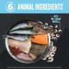 imageORIJEN Wild Reserve Dry Dog Food WildCaught Fish Recipe 4lb Bag