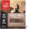 imageORIJEN Grain Free High Protein Freeze Dried Dog Food ampamp Topper Regional Red Recipe 6oz Bag
